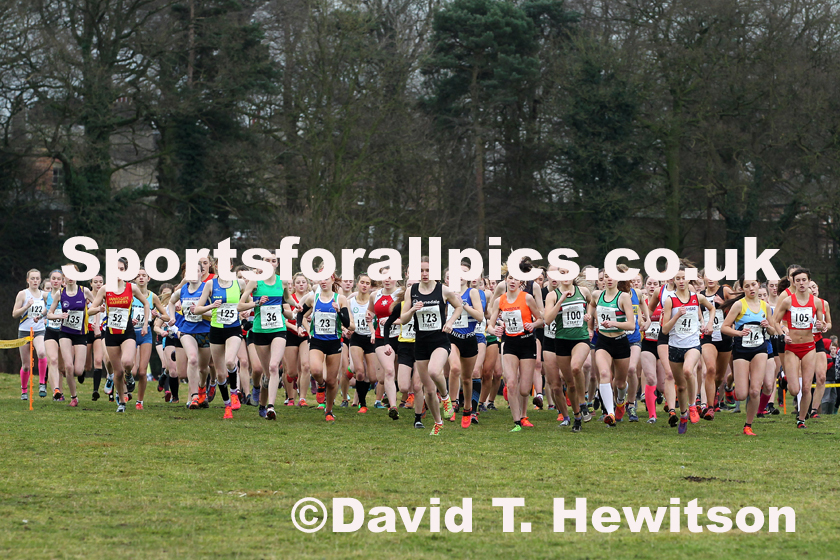 Womens under-17 Northern Cross Country Champs., Camp Hill Estate, Kirklington.  Photo: David T. Hewitson/Sports for All Pics